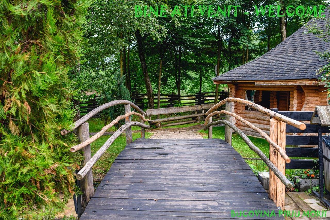 Pension Piriu' Morii Ґурагумора Екстер'єр фото