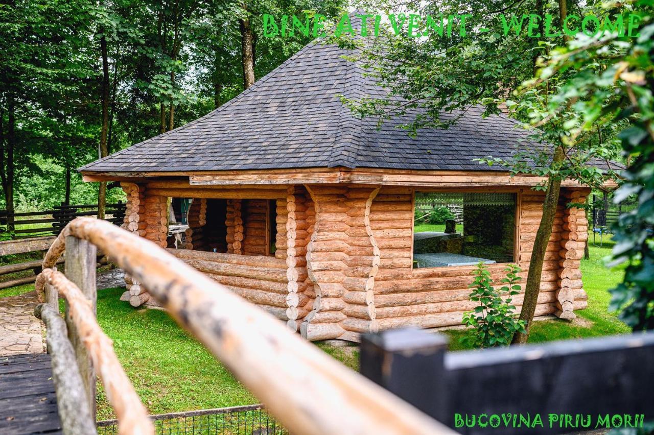 Pension Piriu' Morii Ґурагумора Екстер'єр фото